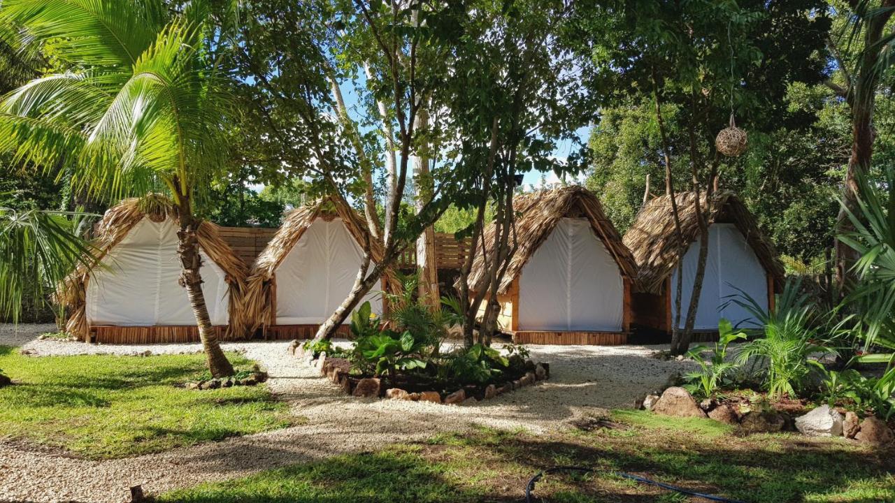 El Buho Bacalar Eco-Cabanas Hostal Luaran gambar
