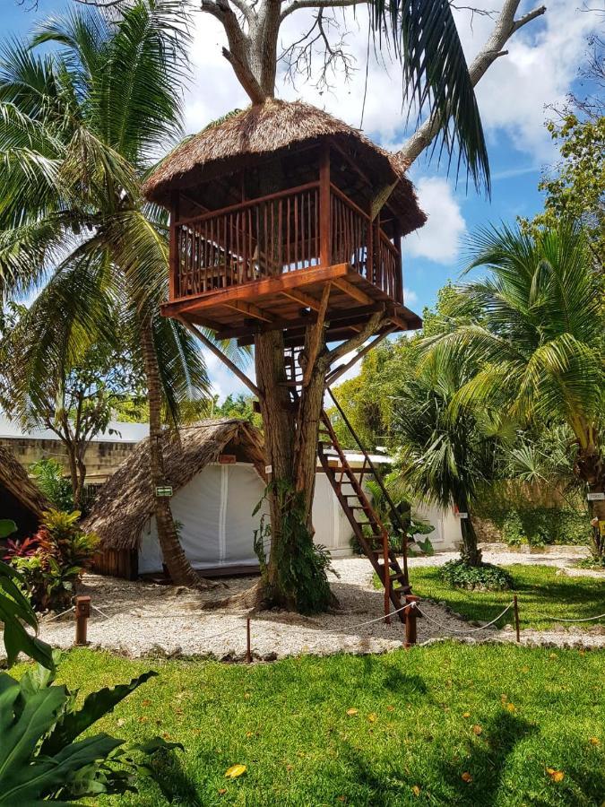 El Buho Bacalar Eco-Cabanas Hostal Luaran gambar