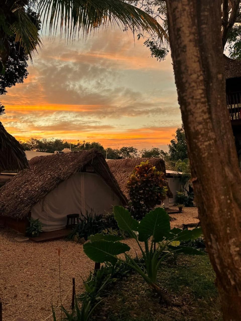 El Buho Bacalar Eco-Cabanas Hostal Luaran gambar