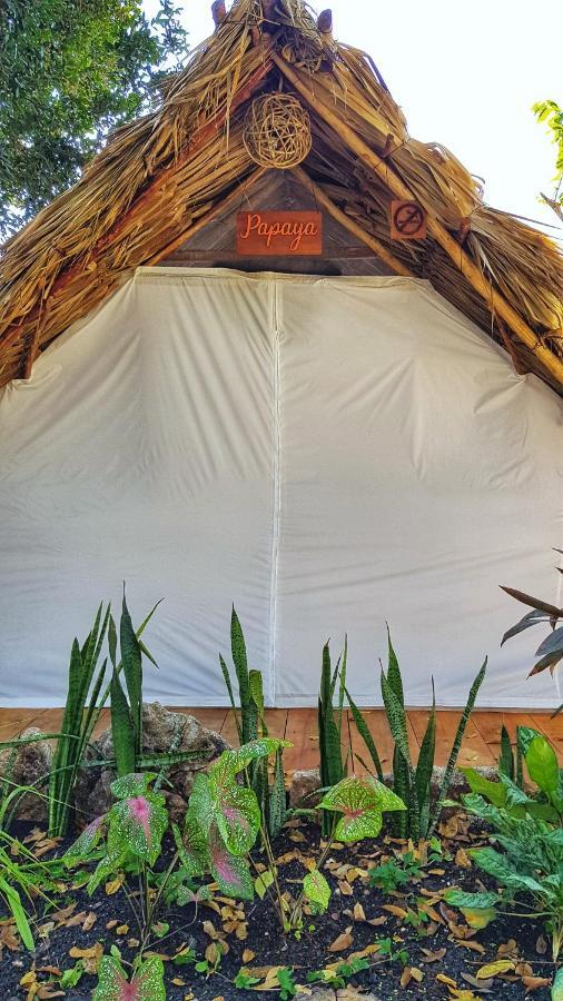 El Buho Bacalar Eco-Cabanas Hostal Luaran gambar